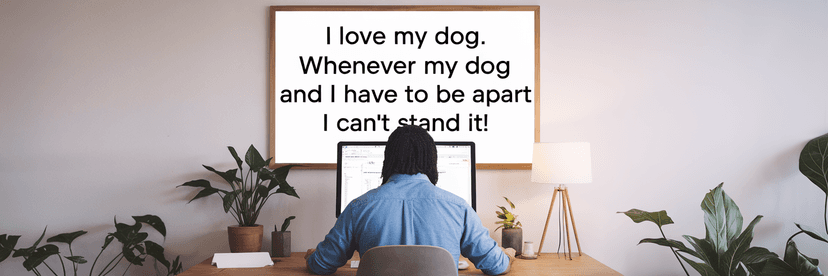 Express Your Love For Your Dog